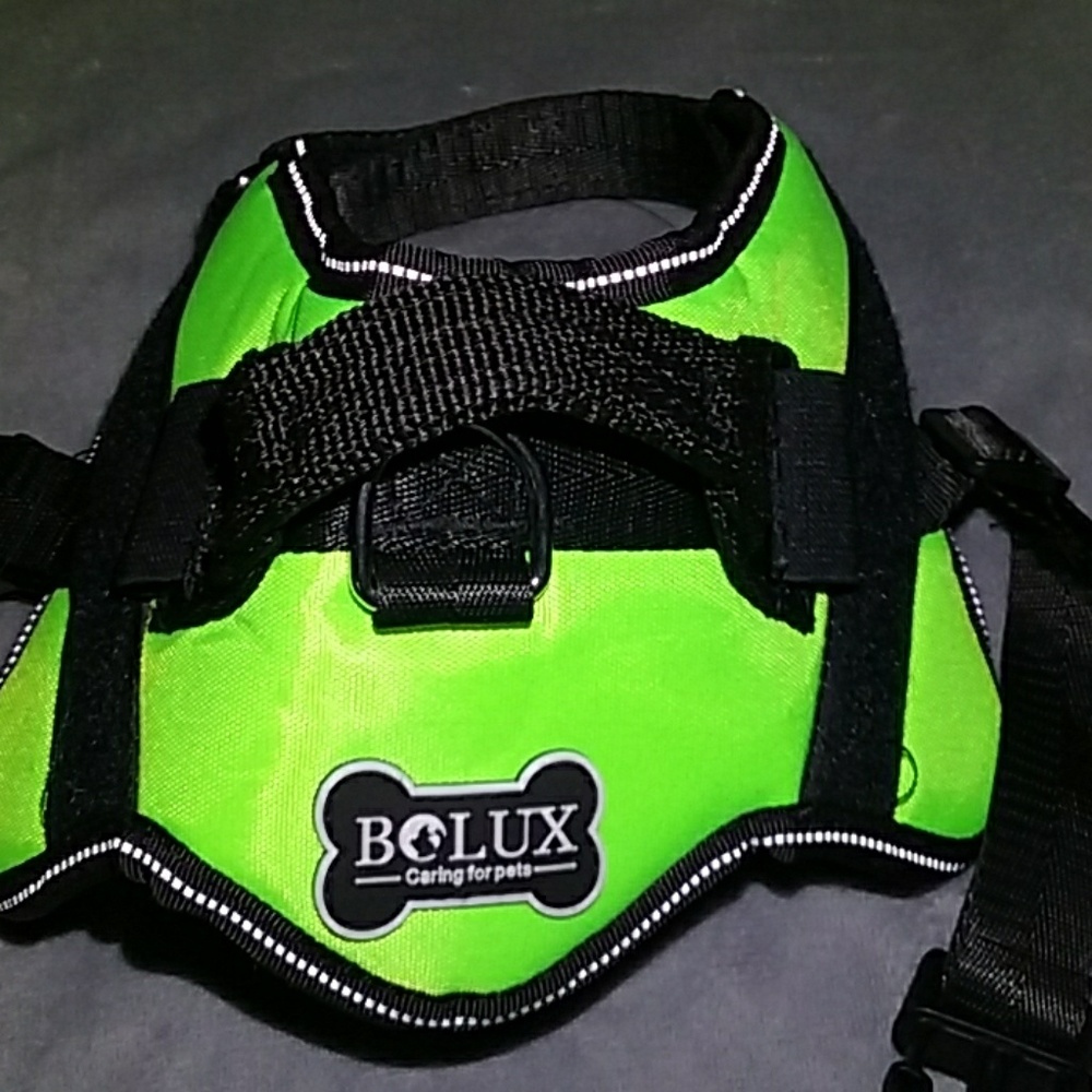 Dog vest